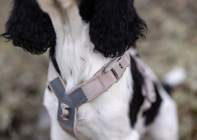 Trekking line harness CLIP'N™