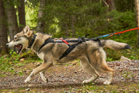 FREEMOTION HARNESS