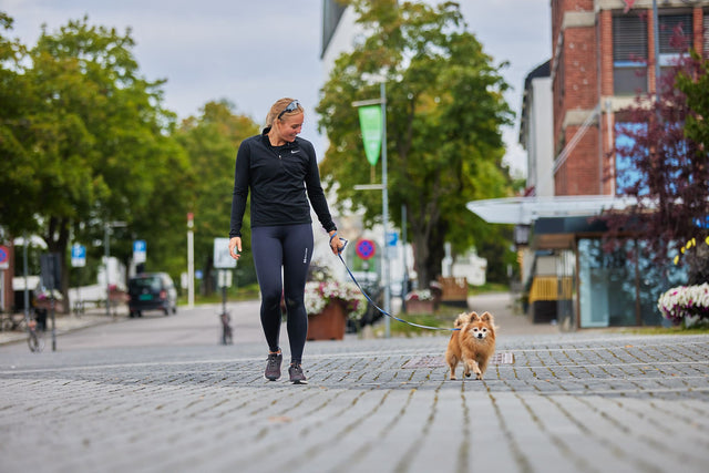 MOVE LEASH