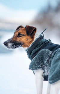 WOOL DOG JACKET