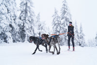 BUNGEE LEASH DOUBLE