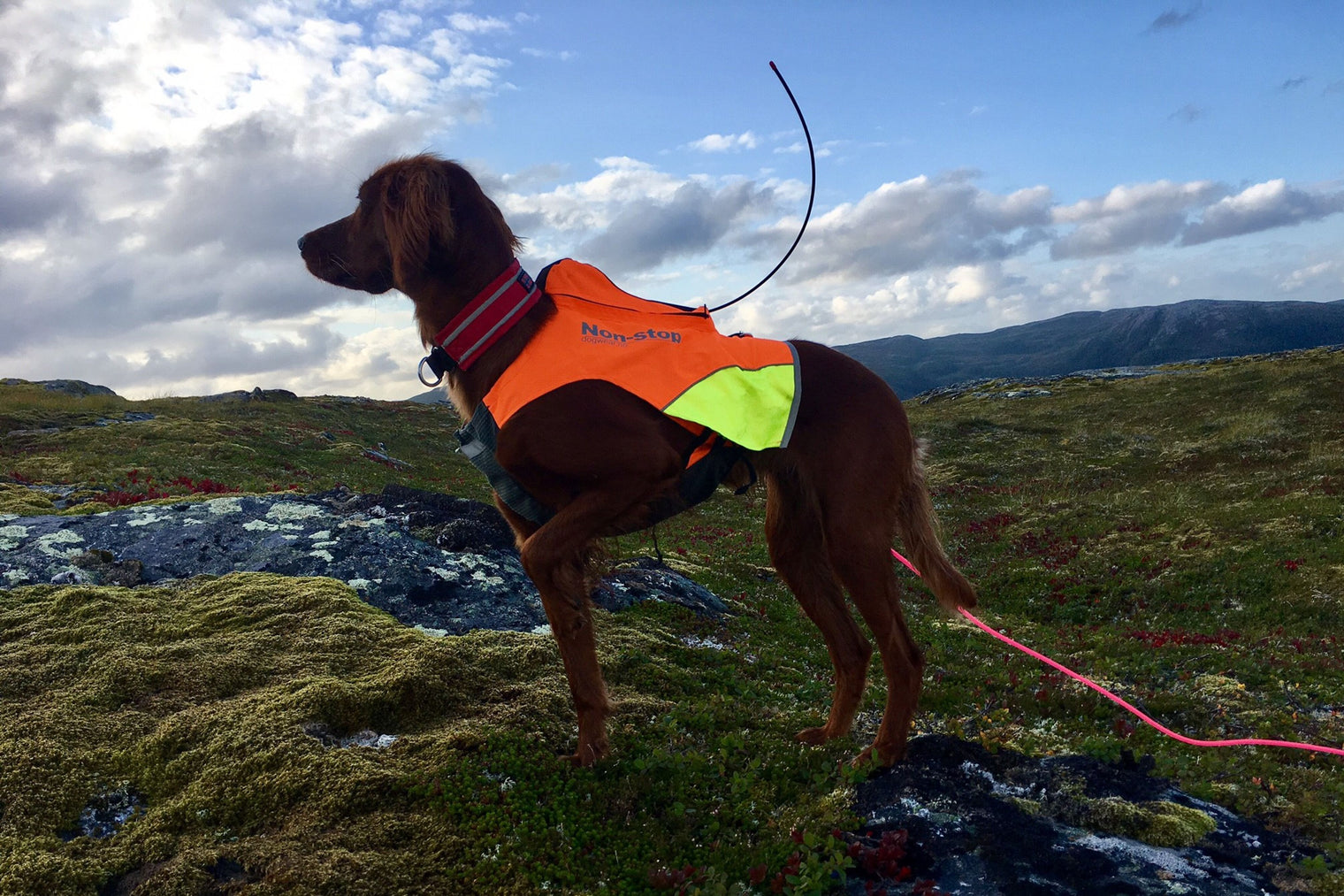 PROTECTOR VEST GPS - SÍÐUSTU EINTÖK !