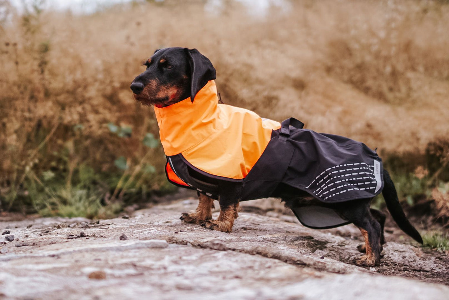 FJORD RAINCOAT - SÍÐUSTU EINTÖK !