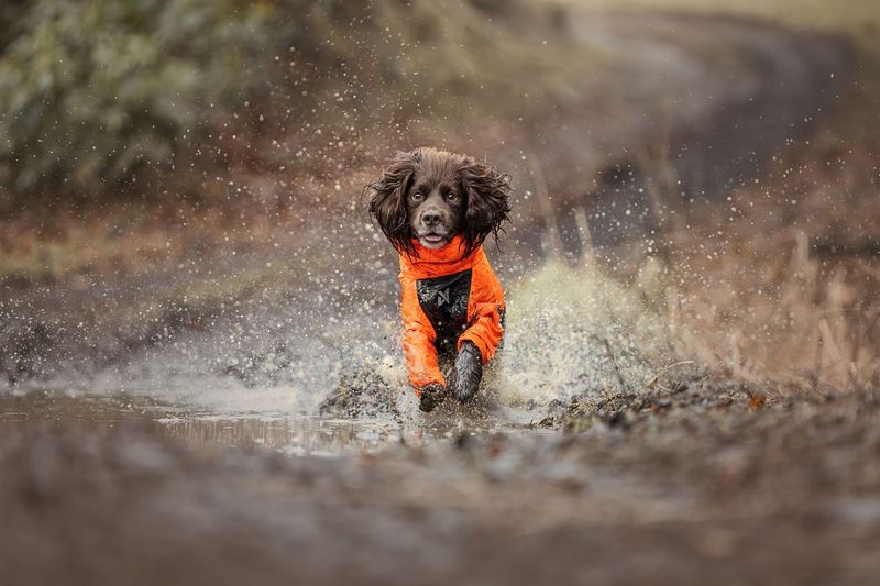 FJORD OVERALL RAINCOAT