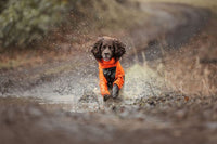 FJORD OVERALL RAINCOAT