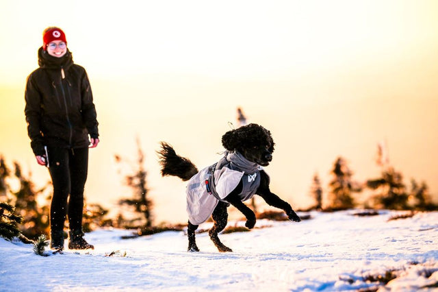 GLACIER WOOL JACKET 3.0