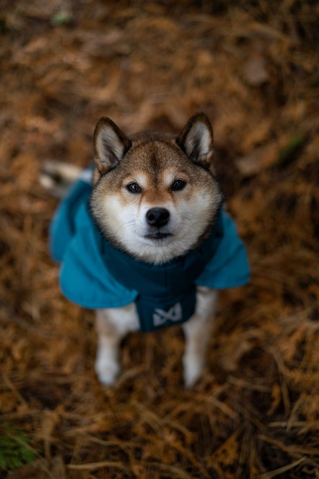 GLACIER JACKET 3.0