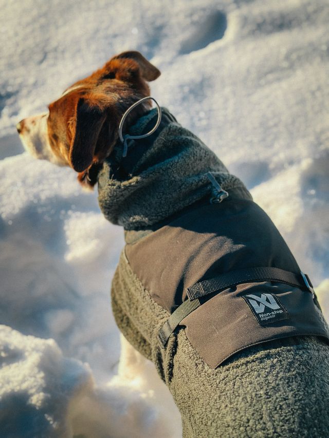WOOL DOG JACKET
