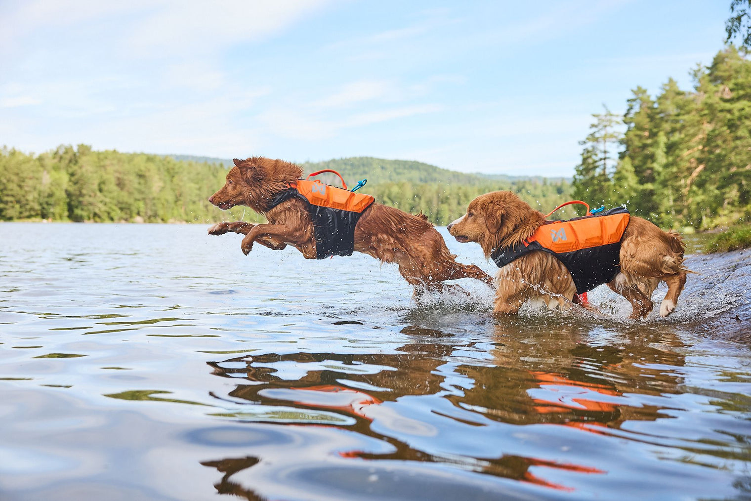 PROTECTOR LIFE JACKET