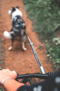 BIKE ANTENNA