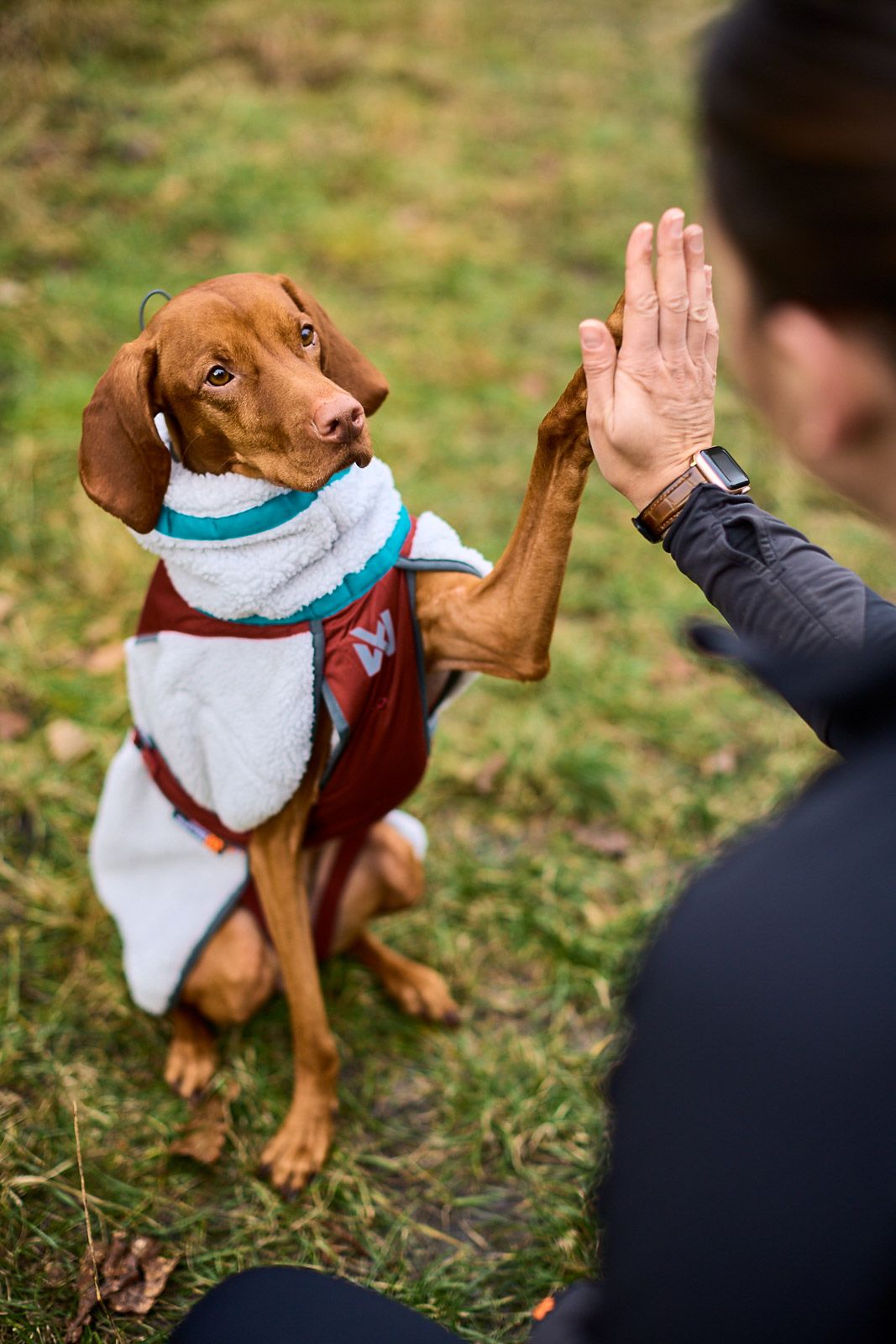 TREKKING FLEECE DOG JACKET