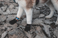 PROTECTOR BOOTIE