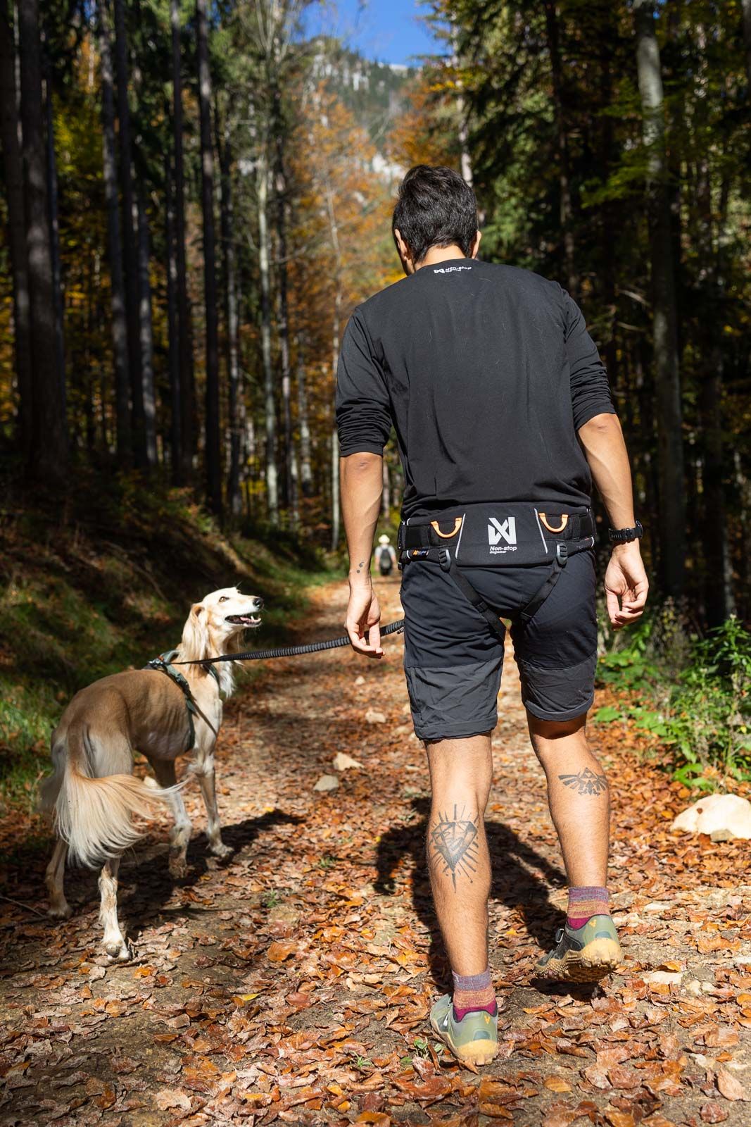 TREKKING BELT 2.0
