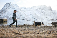 TRAIL LIGHT BELT