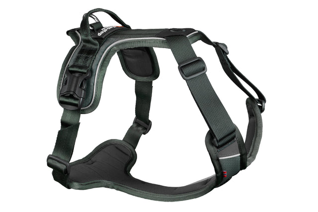 RAMBLE HARNESS