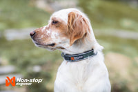 ROAM COLLAR