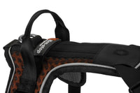 ROCK HARNESS