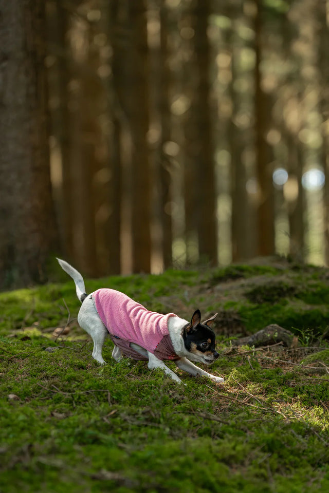 TRAIL QUEST FLEECE PULLOVER