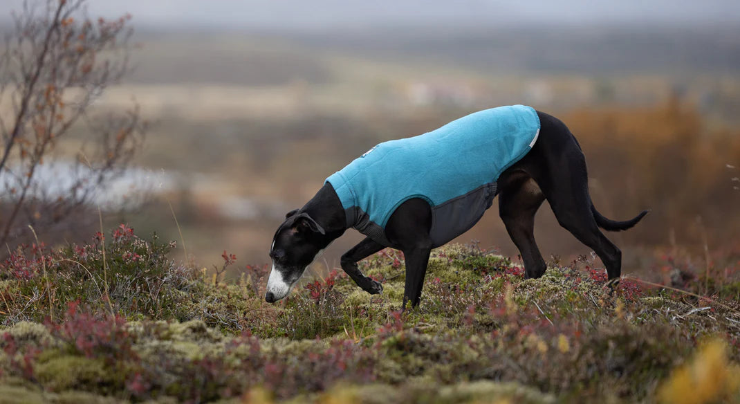 TRAIL QUEST FLEECE PULLOVER