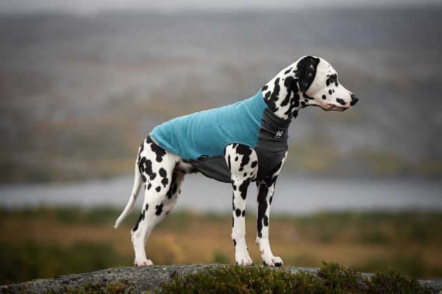 TRAIL QUEST FLEECE PULLOVER